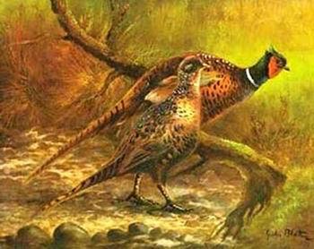 unknow artist Birds 102 oil painting picture